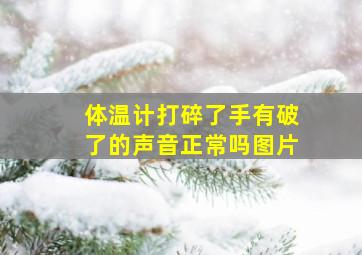 体温计打碎了手有破了的声音正常吗图片