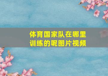 体育国家队在哪里训练的呢图片视频