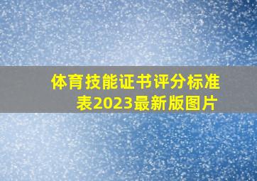 体育技能证书评分标准表2023最新版图片