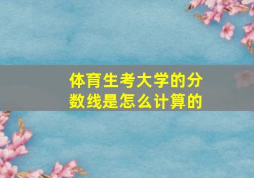 体育生考大学的分数线是怎么计算的