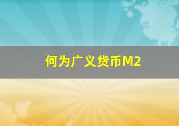 何为广义货币M2