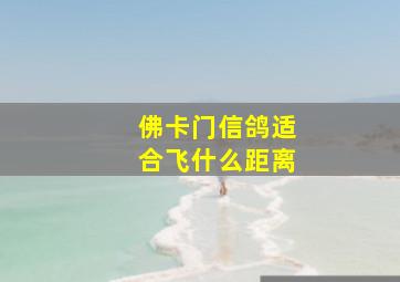 佛卡门信鸽适合飞什么距离