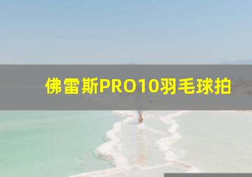 佛雷斯PRO10羽毛球拍