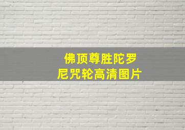 佛顶尊胜陀罗尼咒轮高清图片