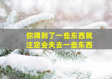 你得到了一些东西就注定会失去一些东西