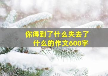 你得到了什么失去了什么的作文600字