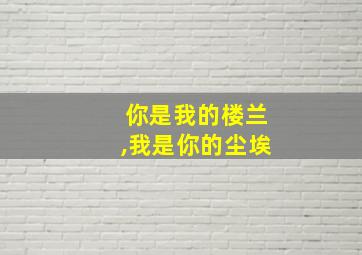 你是我的楼兰,我是你的尘埃