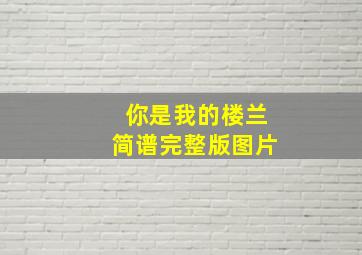 你是我的楼兰简谱完整版图片