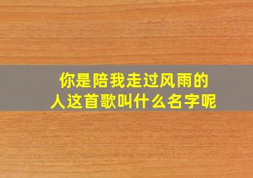 你是陪我走过风雨的人这首歌叫什么名字呢