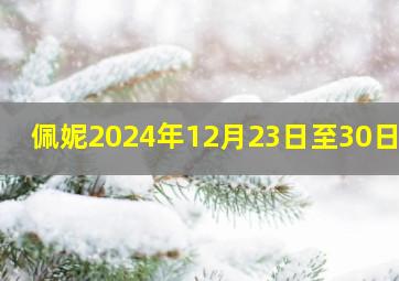 佩妮2024年12月23日至30日运