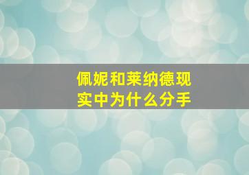 佩妮和莱纳德现实中为什么分手