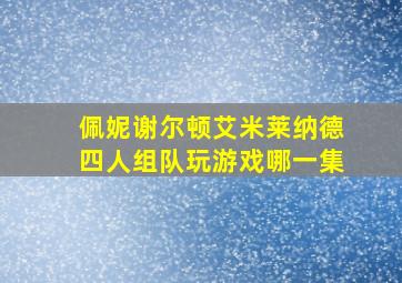 佩妮谢尔顿艾米莱纳德四人组队玩游戏哪一集