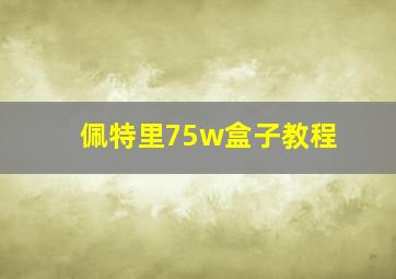 佩特里75w盒子教程