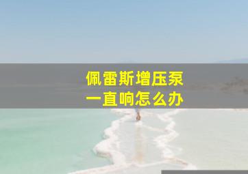 佩雷斯增压泵一直响怎么办