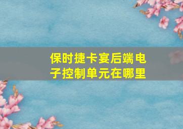 保时捷卡宴后端电子控制单元在哪里