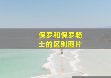 保罗和保罗骑士的区别图片