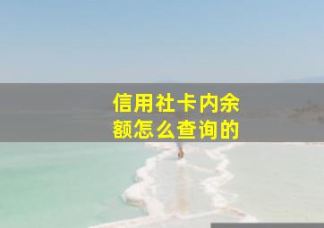 信用社卡内余额怎么查询的