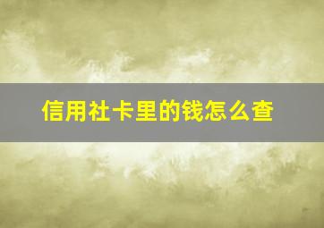 信用社卡里的钱怎么查