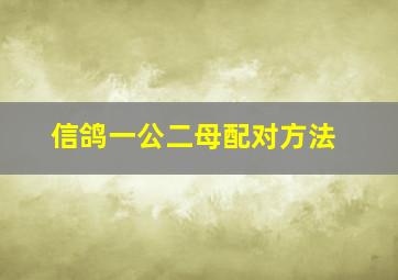 信鸽一公二母配对方法