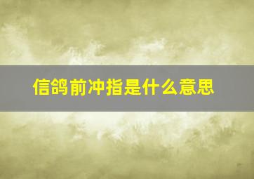 信鸽前冲指是什么意思