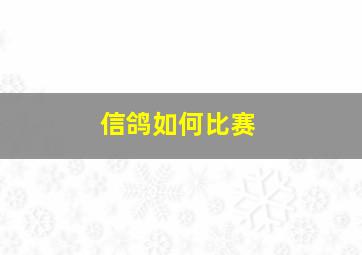 信鸽如何比赛