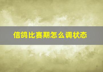 信鸽比赛期怎么调状态