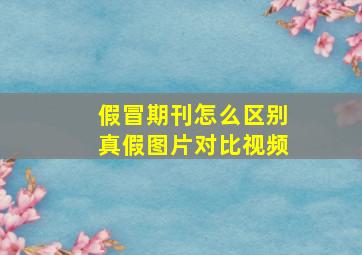 假冒期刊怎么区别真假图片对比视频