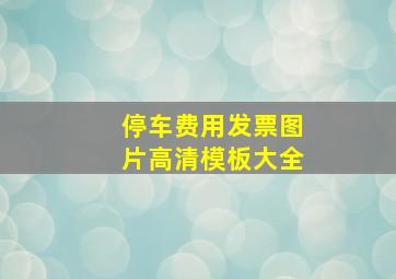 停车费用发票图片高清模板大全