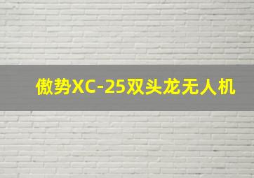 傲势XC-25双头龙无人机