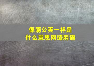 像蒲公英一样是什么意思网络用语