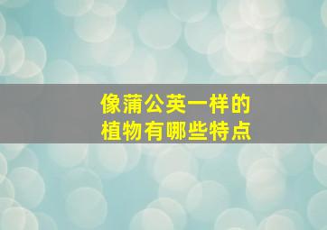 像蒲公英一样的植物有哪些特点