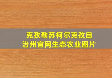 克孜勒苏柯尔克孜自治州官网生态农业图片