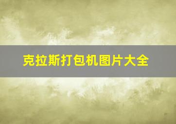 克拉斯打包机图片大全