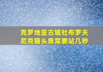 克罗地亚古城杜布罗夫尼克猫头鹰需要站几秒