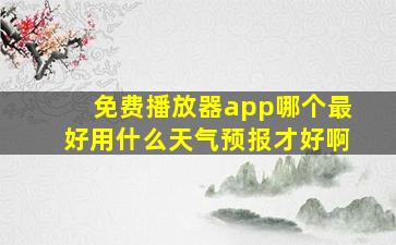 免费播放器app哪个最好用什么天气预报才好啊