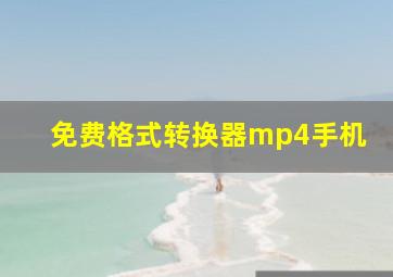 免费格式转换器mp4手机