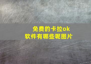 免费的卡拉ok软件有哪些呢图片