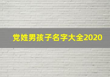 党姓男孩子名字大全2020