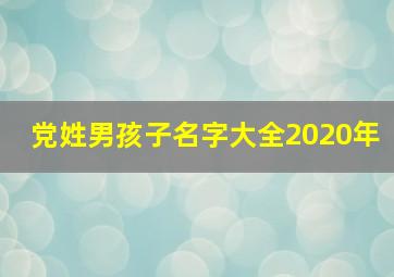 党姓男孩子名字大全2020年