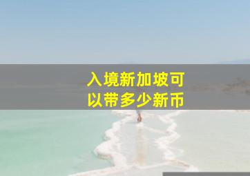 入境新加坡可以带多少新币