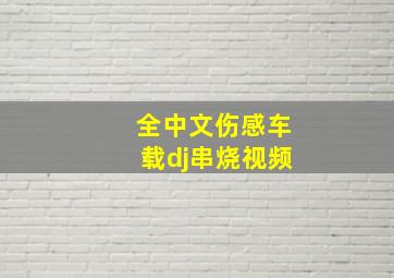 全中文伤感车载dj串烧视频