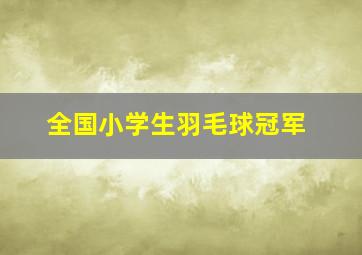 全国小学生羽毛球冠军