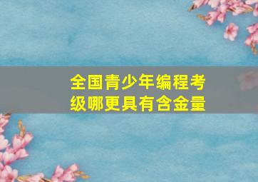 全国青少年编程考级哪更具有含金量