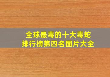 全球最毒的十大毒蛇排行榜第四名图片大全