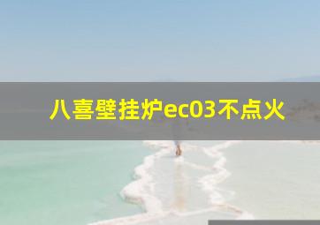 八喜壁挂炉ec03不点火