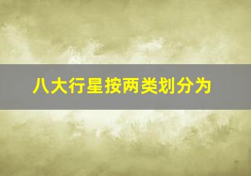 八大行星按两类划分为