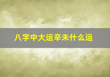 八字中大运辛未什么运