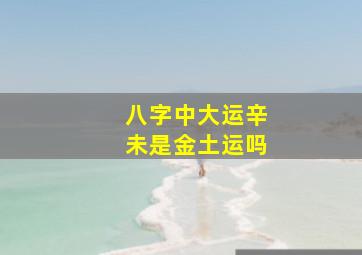 八字中大运辛未是金土运吗