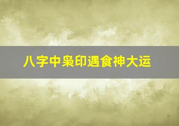 八字中枭印遇食神大运