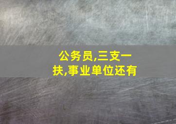 公务员,三支一扶,事业单位还有